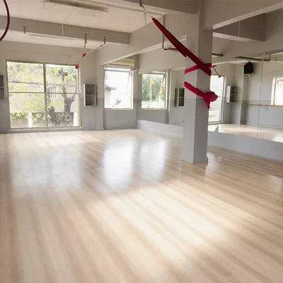 Espacio Le Dance — foto 4